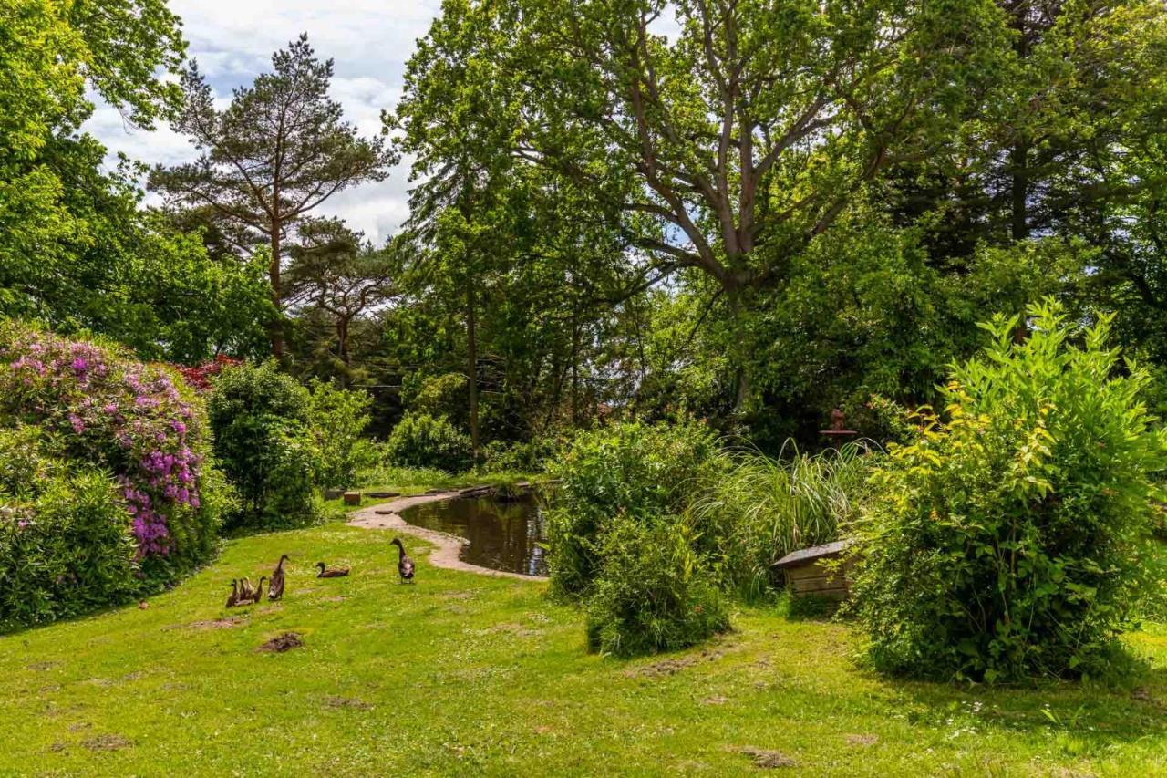 Host & Stay - The Eiders Aylmerton Bagian luar foto